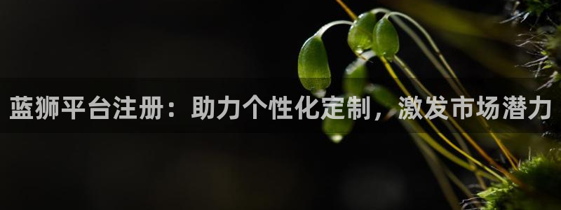 尊龙时凯官网入口：蓝狮平台注册：助力个性化定制，激发市场潜力