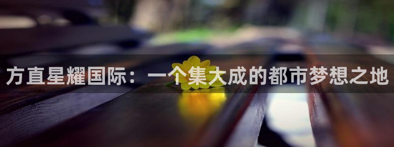 尊龙时凯2体育：方直星耀国际：一个集大成的都市梦想之地