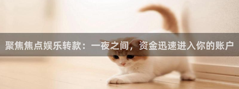 尊龙时凯体育2官网入口：聚焦焦点娱乐转款：一夜之间，资金迅速进入你的账户