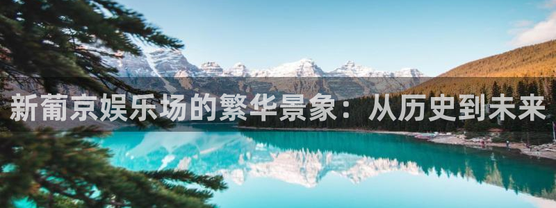 尊龙时凯平台主管：新葡京娱乐场的繁华景象：从历史到未来