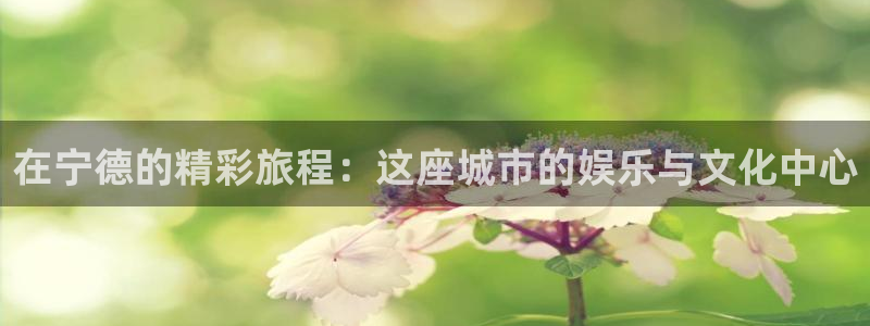 德国尊龙时凯集团：在宁德的精彩旅程：这座城市的娱乐与文化中心