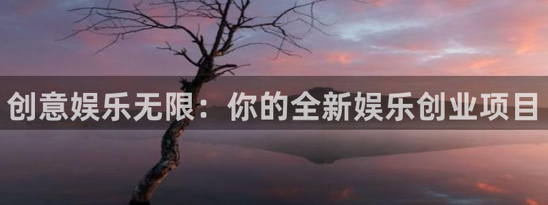 尊龙时凯平台主管：创意娱乐无限：你的全新娱乐创业项目