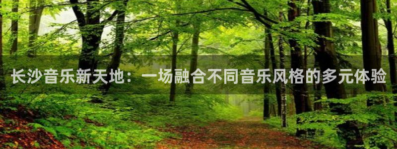 尊龙时凯体育官网入口登录：长沙音乐新天地：一场融合不同音乐风格的多元体验