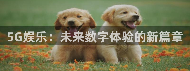 尊龙时凯平台官网：5G娱乐：未来数字体验的新篇章