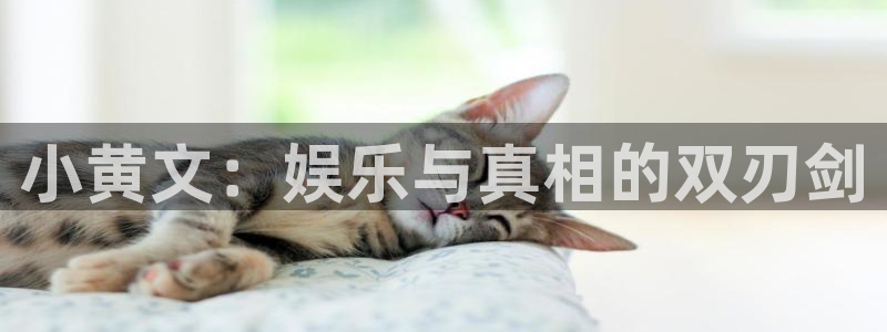 尊龙时凯4代理：小黄文：娱乐与真相的双刃剑