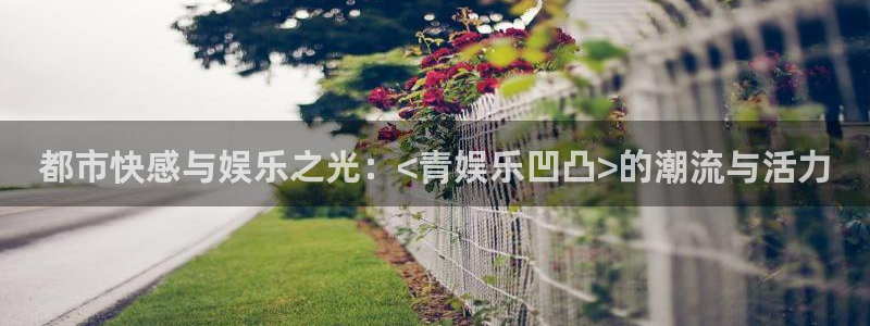 尊龙时凯kgame：都市快感与娱乐之光：<青娱乐凹凸>的潮流与活力