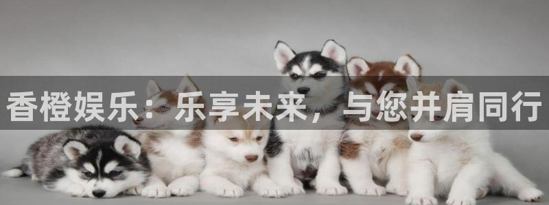 尊龙时凯体育2：香橙娱乐：乐享未来，与您并肩同行