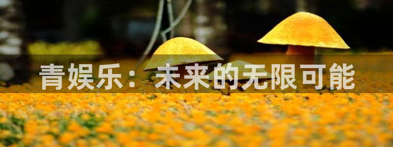 尊龙时凯包怎么样：青娱乐：未来的无限可能