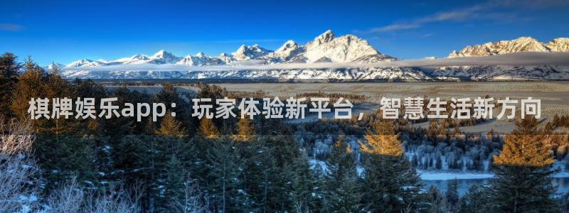 尊龙时凯5注册：棋牌娱乐app：玩家体验新平台，智慧生活新方向