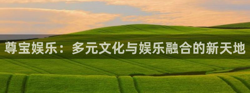 尊龙时凯集团总部：尊宝娱乐：多元文化与娱乐融合的新天地