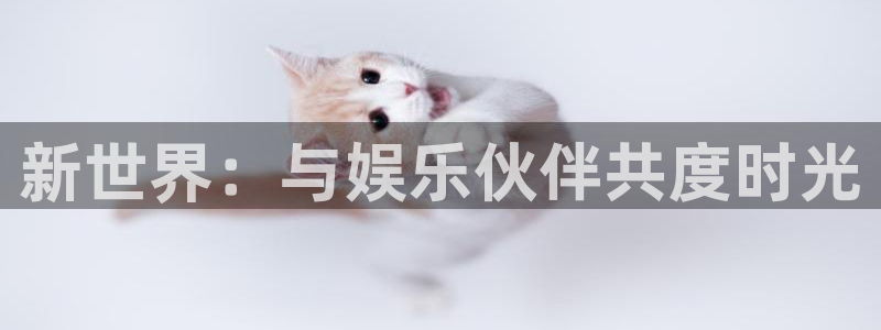 尊龙时凯体育在线注册：新世界：与娱乐伙伴共度时光
